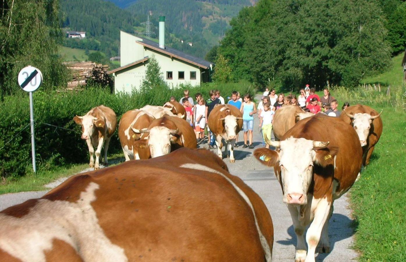 Bio-Bauernhof-Hotel Matlschweiger Lassing  Luaran gambar